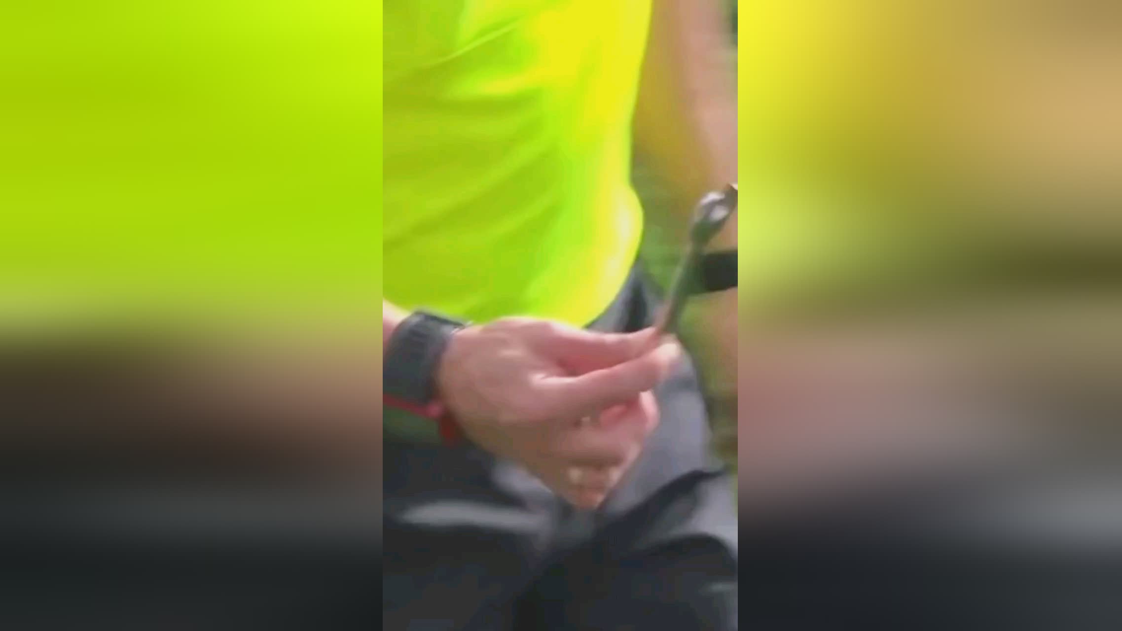 森的门
